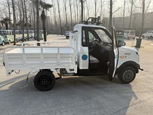 Dört tekerlek kamyonet elektrikli Mini çiftlik elektrikli kargo Van elektrikli tarım kamyon elektrikli yardımcı malzeme arabası - Product Image 2