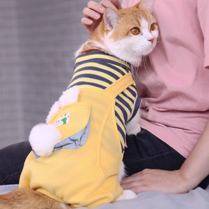 Cute Cat <b>Overalls</b> Yellow Anti-Shedding Warm <b>Winter</b> Clothes For Pets Funny Style - Product Image 1