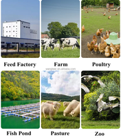 Offre Spéciale – Machine à Granulés Diesel pour Aliments Animaux (Porcs, Lapins, Bovins, Poulets) – Capacité 100-150 kg/h – Prix Usine