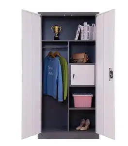 Meuble de maison multifonction minimaliste moderne en acier Armoire à 2 portes Armoire de chambre à coucher Armoire avec cloisons et tringle à vêtements