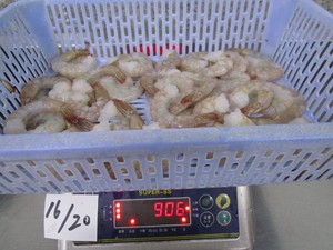 Gambas Vannamei congeladas de mariscos con gambas blancas de calidad a precio barato - Product Image 2