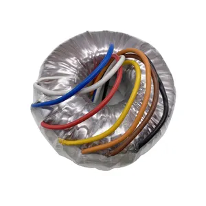 3000w Toroidal Step Down UPS Transformador De Potência fabricante