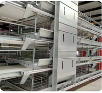 Système de cage à poules pondeuses automatique en acier galvanisé de type H à 4 niveaux avec collecte des œufs et élimination du fumier