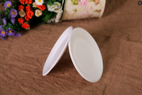 Assiettes jetables en canne à sucre de 10 pouces, robustes, compostables, écologiques, modernes, fabriquées par Shandong-Just Bio Disposable