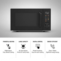 Four à micro-ondes électrique de luxe 20L en acier inoxydable, 700W, tension universelle 110-240V, classe d'efficacité énergétique 1, pour extérieur et hôtels