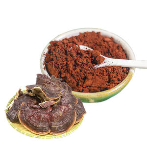 Doğal bitkisel özü orijinal Lingzhi spore tozu vahşi kurutulmuş Ganoderma Lucidum spore özü reishi spore özü tozu - Product Image 1
