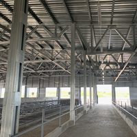 Structure en acier préfabriquée moderne de haute qualité pour l'élevage de bovins, de moutons et de volailles, et pour les fermes d'élevage de vaches