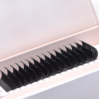 LashPlus extension de cils faite à la main volume complet extension de cils volume cils en soie
