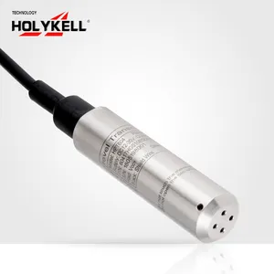 Holykell OEM 깊이 액체 레벨 측정 4-20mA 액체정역학 수위 센서 HPT604