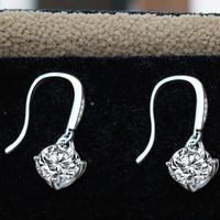 Marque Design 0.5ct/1ct D Couleur VVS Diamant Pass Test Eardrop Fine Jewelry 925 Sterling Silver Moissanite Drop Boucles D'oreilles pour les Femmes