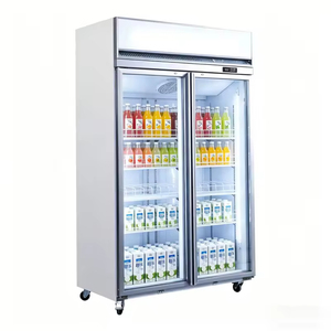 Réfrigérateur commercial à double porte avec compresseur monté en haut, réfrigérateur vertical pour boissons - Product Image 5