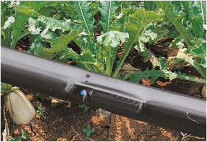 Système complet d'irrigation par bandelette <span class=keywords><strong>goutte</strong></span>-<span class=keywords><strong>à</strong></span>-<span class=keywords><strong>goutte</strong></span> <span class=keywords><strong>pour</strong></span> l'agriculture, modèle 1 hectare, fabricants chinois de tuyaux d'irrigation <span class=keywords><strong>pour</strong></span> l'agriculture - Product Image 5