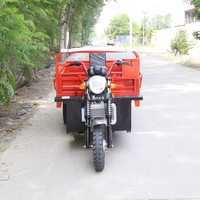 Tricycle à essence à trois roues à couple élevé avec boîte de chargement personnalisable pour le transport quotidien de marchandises