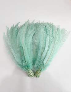 Plumas de avestruz de Carnaval Pluma de avestruz de gran tamaño Venta caliente Avestruz natural <span class=keywords><strong>Nandu</strong></span> para decoración de ropa Carnaval - Product Image 1