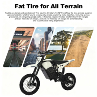 Sepeda Motor Listrik Ban Gemuk 2 Roda Off-road Harga Bagus 3000W Jarak Jauh untuk Jalan Kasar