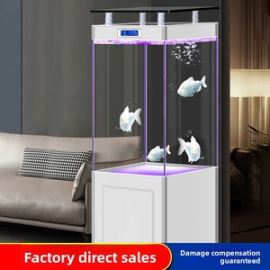 ตู้ปลาแก้วคริสตัลสีทองหรูหราอัจฉริยะ รุ่นอัลตร้าไวท์ สำหรับ<span class=keywords><strong>ปลา</strong></span>ดุก ขนาดใหญ่ เหมาะสำหรับห้องนั่งเล่น ใช้ในบ้าน/นอกบ้าน ขนาดกลาง - Product Image 2