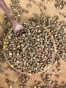 High Quality Robusta Size 16 Vietnam Origin Green Coffee <b>Beans</b> A 60kg A Plus 95 To 99% Purity Bulk <b>Bags</b> - Product Image 5