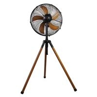 Ventilateur sur pied de 16 pouces conforme aux normes européennes, pales en aluminium finies peintes haut de gamme, grille en spirale, ventilateur sur pied rétro avec prise française