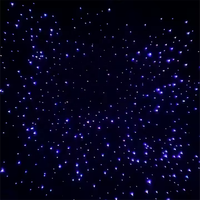 Kit de 500 Luces LED de Fibra Óptica para Techo de Auto, Efecto Cielo Estrellado, Decoración para Auto y Hogar