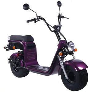 Best Electric Scooter 2000w Powerful Citycoco For Adult Electric Off Road Scooters