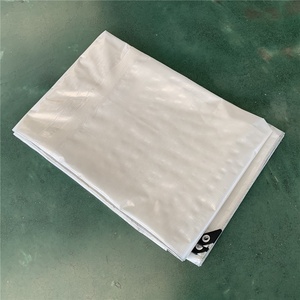 Rõ Ràng <span class=keywords><strong>PE</strong></span> Leno Lưới Tarpaulin Trong Suốt Nhà Kính Lều Tấm Nhựa Chống Cháy <span class=keywords><strong>PE</strong></span> Lưới Vải Lưới Leno Tarpaulin - Product Image 5