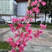 Ranting Bunga Bougainvillea Sutra Buatan Grosir untuk Dekorasi Pernikahan dan Rumah