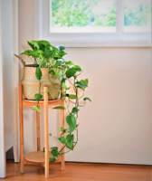Penyangga Tanaman Indoor Tinggi dari Bambu, Rak Penyimpanan Bunga, Penyangga Tanaman Tinggi, Desain Bambu Berkualitas Tinggi, Rak Tanaman