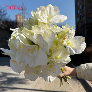 ดอกคลีเวียมินิอาตาปลอมสีขาวคุณภาพสูง DC148 พิมพ์แบบ 3 มิติ สำหรับตกแต่งบ้าน โรงแรม โต๊ะต้อนรับ - Product Image 2