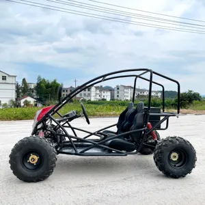 LNA macht Ihre Fahrten besser 2000w elektrischen Dünen buggy