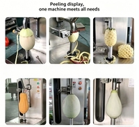 Automatische kokosnoot-, papaja-, mango-, pompoen-, watermeloen- en ananas-schilmachine