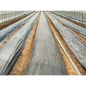 China paisaje cubierta de tierra mantillo de plástico de <span class=keywords><strong>la</strong></span> película mantillo película orchard - Product Image 5