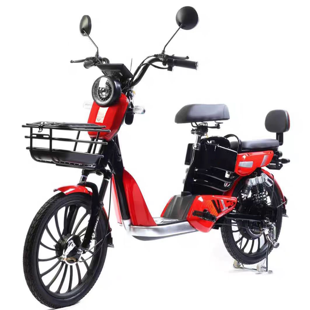 Hot Sale Retro Electric Bicycle | 48V 350W Electric Bike for Adults | Double Seat Electric Moped for City Delivery & Commuting