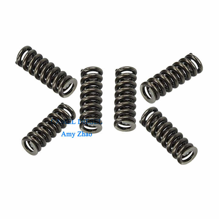 New Common Rail Injector Spring 2434614027 2434614010 2434614015  