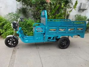 Eaynon Small Mini Value Tricycles Fat Motorcycle Reverse Rickshaw Electric Tricycle