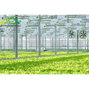 ระบบเรือนกระจกไฮโดรโปนิกส์แบบลอยน้ำ |   ระบบปลูกพืชแบบน้ำลึก (DWC) สำหรับการเพาะปลูกผักใบเขีย<span class=keywords><strong>ว</strong></span>และสมุนไพรให้ผลผลิตสูง - Product Image 4