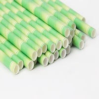 Pailles en papier biodégradables assorties couleurs arc-en-ciel pailles à boire rayées pour jus, cocktail, café, soda, milkshakes