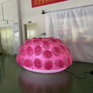 Gonflables d'intérieur/extérieur de corail semi-circulaire rose de 2m de diamètre pour jardin/centre commercial/gonflables pour la publicité publique - Product Image 5