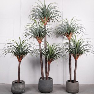 Venta de Fábrica, Planta Artificial de Bonsái de <span class=keywords><strong>Agave</strong></span> de Sangre de Dragón de Alta Calidad para Decoración del Hogar - Product Image 2