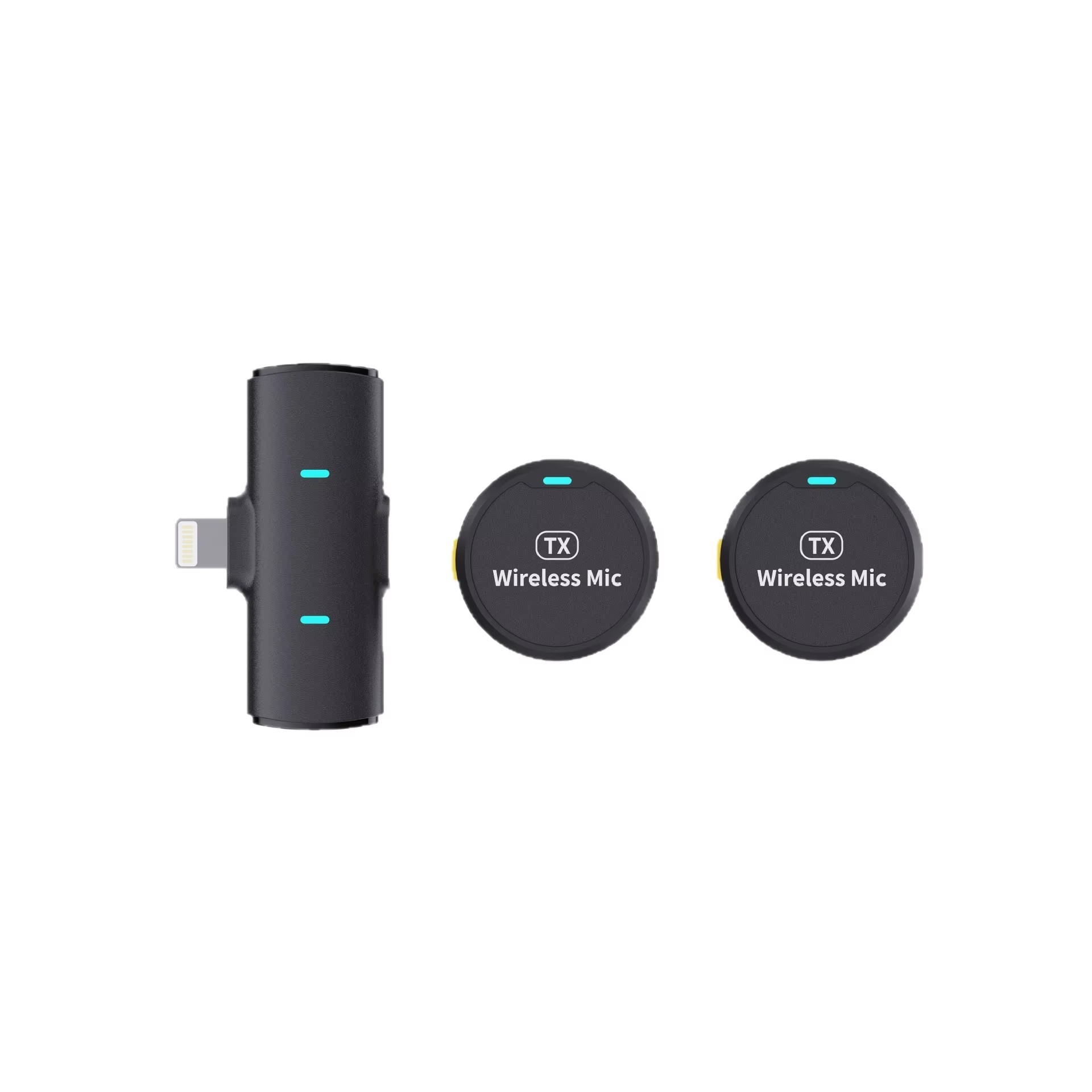 2Mic IP - Black