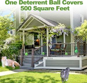 <span class=keywords><strong>Huile</strong></span> essentielle naturelle d'usine <span class=keywords><strong>huile</strong></span> de menthe poivrée biologique 12pk boule répulsive pour <span class=keywords><strong>chat</strong></span> protégeant les meubles d'intérieur et d'extérieur - Product Image 4