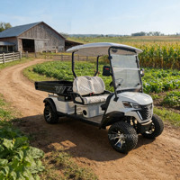 Nouveauté ZOWN Buggy, véhicule utilitaire à 4 roues, boîte de chargement, chariot de golf électrique 48V, certifié CE, autonomie de 90 km, pneus tout-terrain, 1-2 places