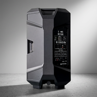 Altavoz PA Activo Renovo-15DSP de 15 Pulgadas, 500W RMS, Amplificado por DSP, Altavoz de Escenario de Plástico, Bluetooth, Entrada XLR
