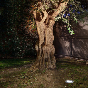 Chine <span class=keywords><strong>LED</strong></span> Paysage Lumière Souterraine 5W <span class=keywords><strong>IP67</strong></span> Étanche Buried Extérieure Jardin Chemin <span class=keywords><strong>Spot</strong></span> Encastré Dans L'éclairage Au Sol - Product Image 6