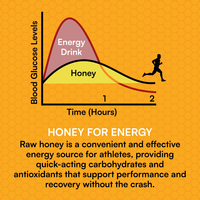 LIFEWORTH Workout Running Wild Ginger Honey Energy Gel Packets Snack