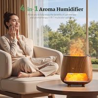 Diffuseur d'arômes de 200 ml avec pierre de sel rose de l'Himalaya, humidificateur à brume fraîche avec fonction d'arrêt automatique, lumière LED nocturne à 9 couleurs
