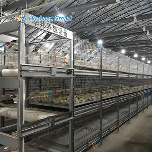 Jaulas de pollo tipo H galvanizadas en caliente Jaula de gallo automatizada Equipo de granja avícola Fabricantes chinos - Product Image 4