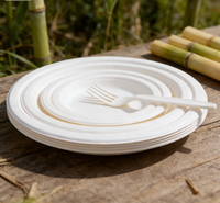 Sac en fibre de bagasse de canne à sucre biodégradable Eco Earth, 100 % écologique, personnalisable, jetable, vente en gros pour usines
