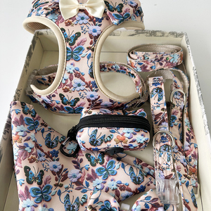 Novedades de Primavera, Arnés y Correa para Perro con Diseño de Mariposa, Juego de Seis Piezas - Product Image 5
