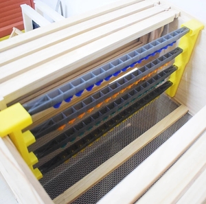 Nuevo Marco de Cera Plástico Negro BAIFENG BEE para Apicultura, Herramienta para Colmenas y Suministros de Abejas - Product Image 3