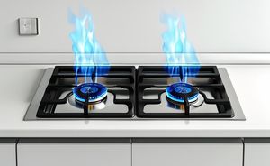 Réchaud à gaz haute pression en acier inoxydable à 2 brûleurs pour extérieur, <span class=keywords><strong>maison</strong></span>, usage commercial, comptoir électrique, double brûleur à gaz portable au <span class=keywords><strong>butane</strong></span> - Product Image 5